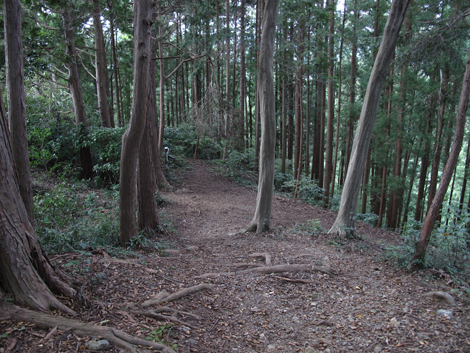 20161007hike (199)